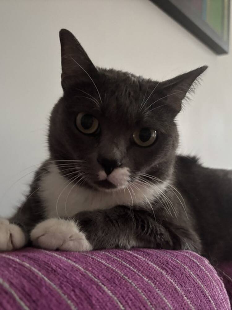 Foto de perfil de Aintzane