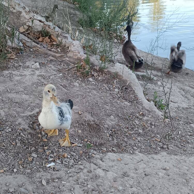 Foto de perfil de Patri