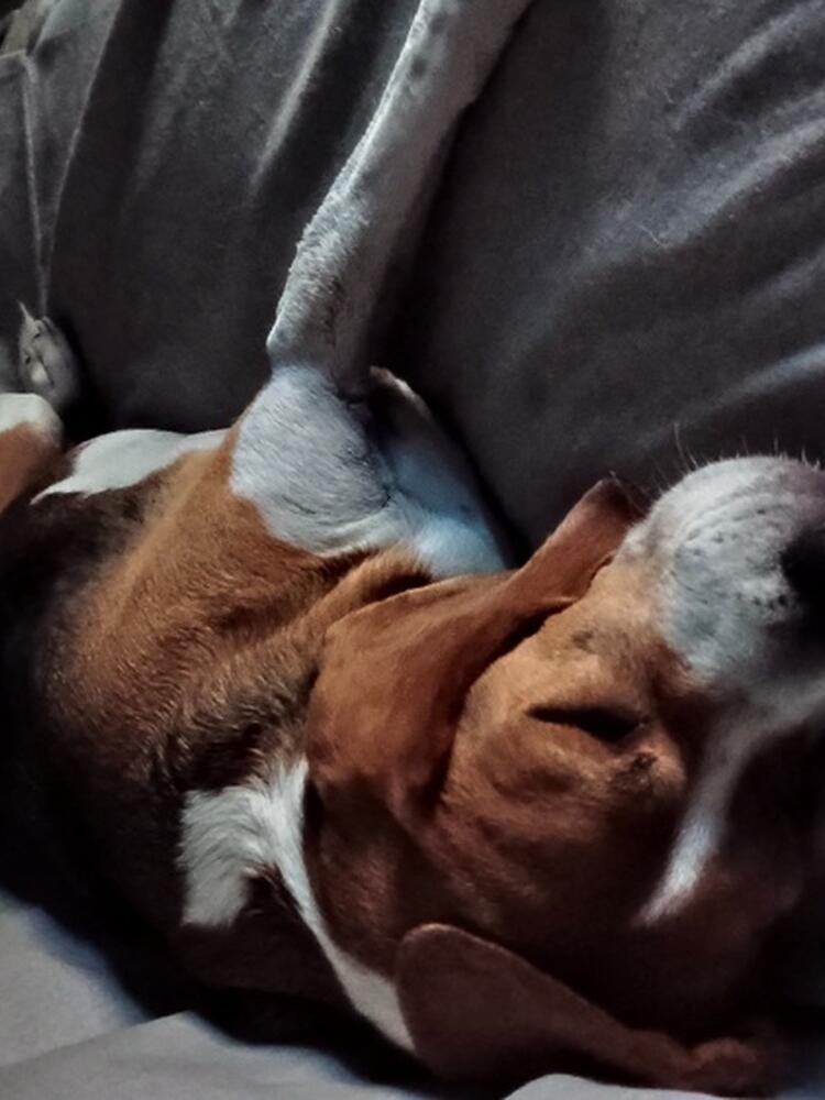 Foto de perfil de Kontxi
