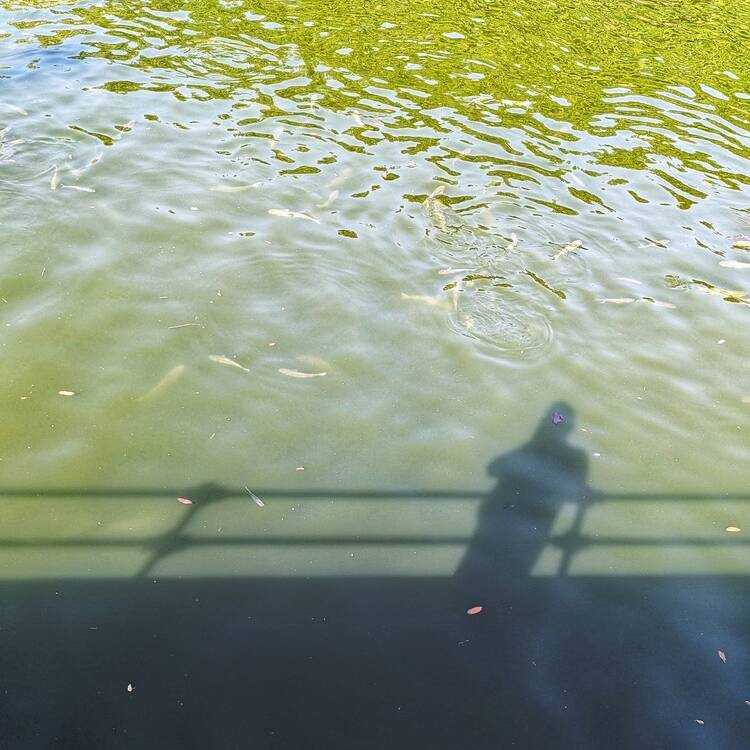 Foto de perfil de mikel