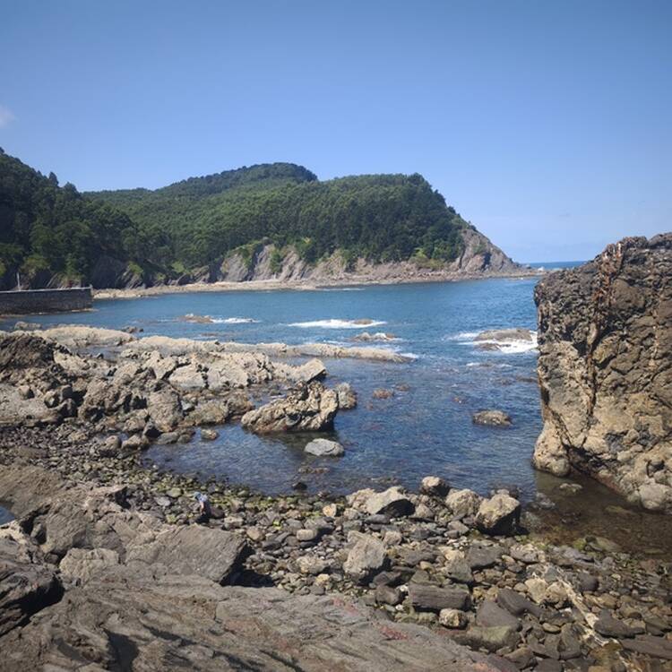 Foto de perfil de Mentxu
