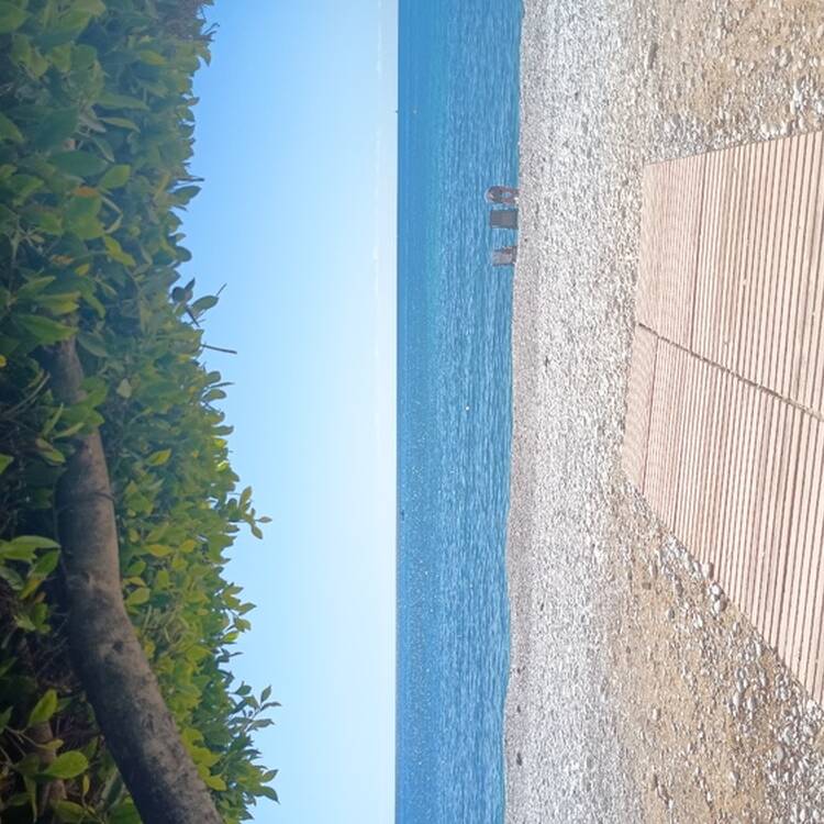 Foto de perfil de jesus