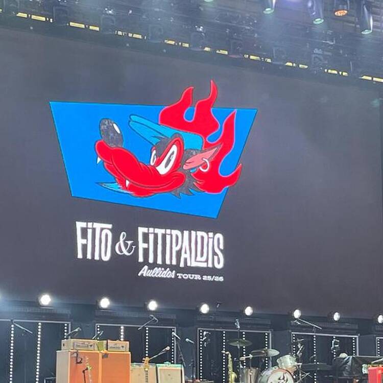 Foto de perfil de MJ