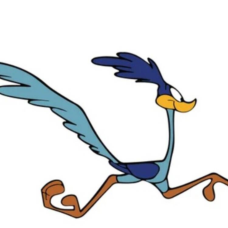 Foto de perfil de Miguel
