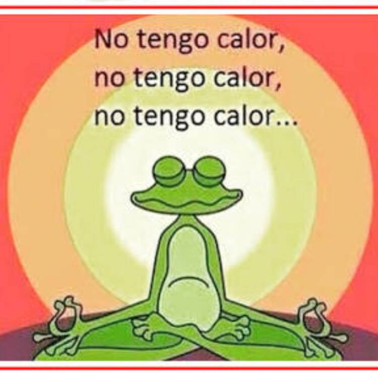 Foto de perfil de mikel