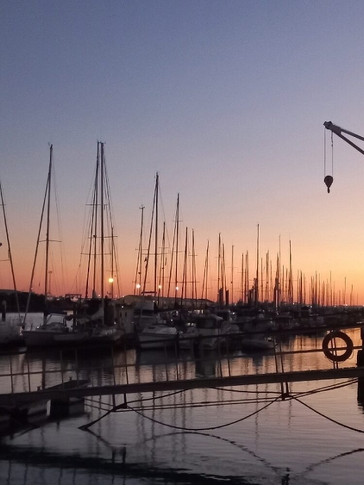 Foto de perfil de Ane