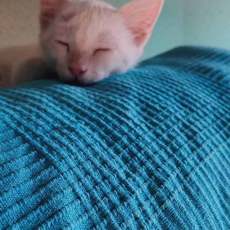 Foto de perfil de Vanesa