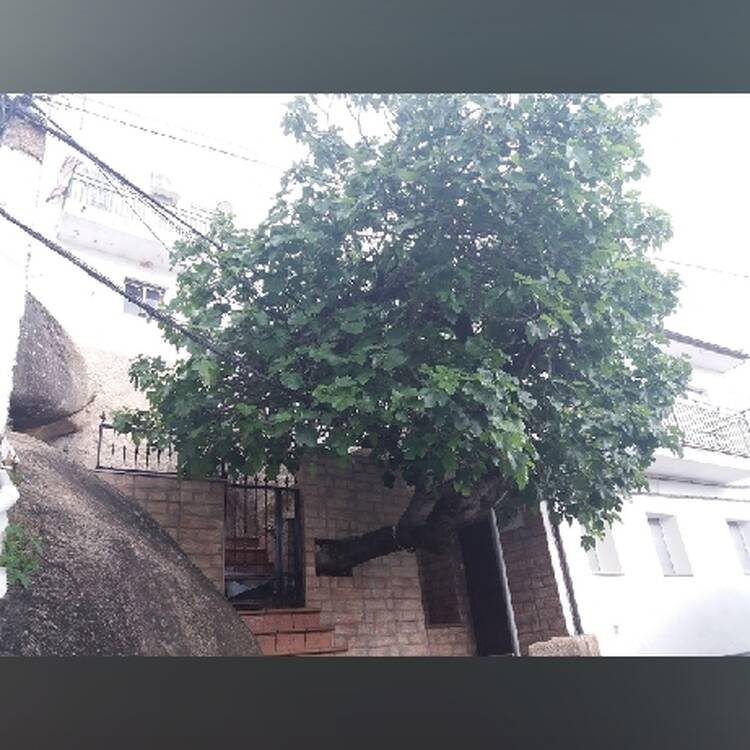 Foto de perfil de Amelia