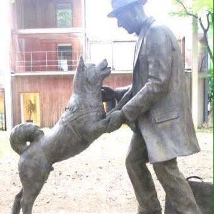 Foto de perfil de Pedro