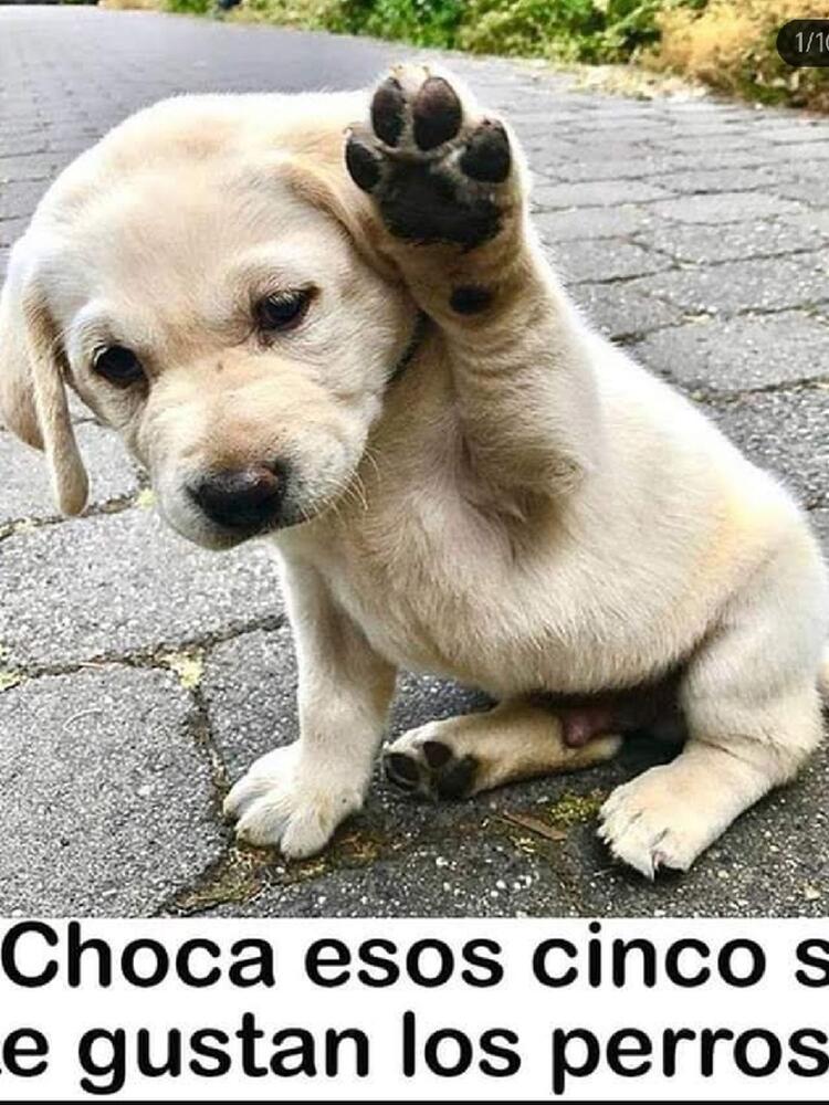 Foto de perfil de Paula