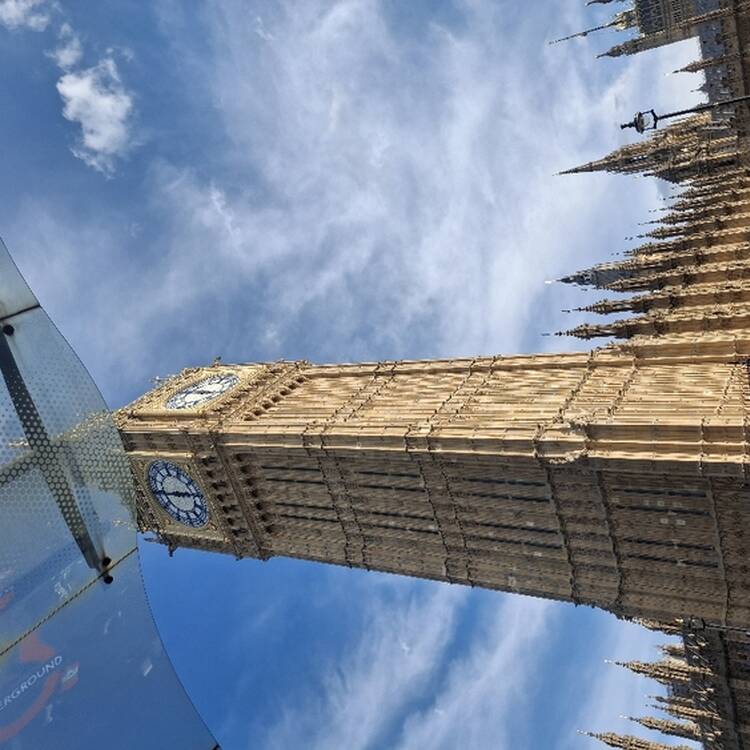 Foto de perfil de Jaime