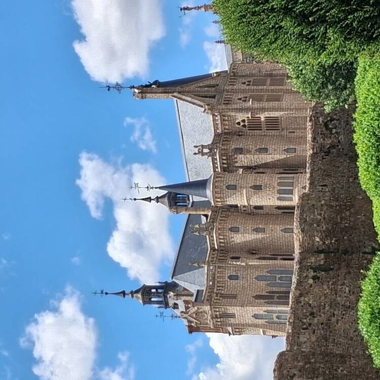 Foto de perfil de Andrea