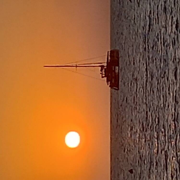 Foto de perfil de jose