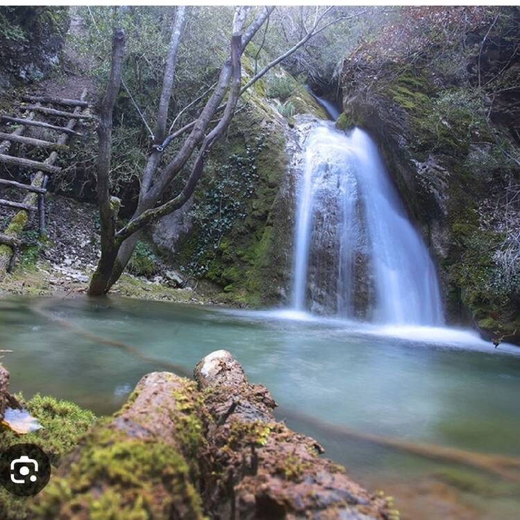 Foto de perfil de Óscar
