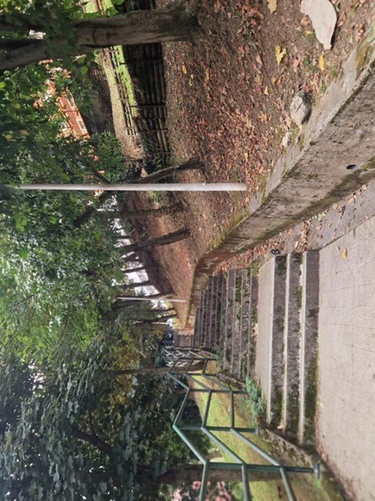 Foto de perfil de Alba