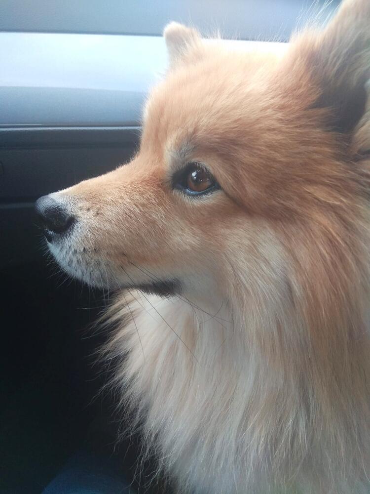 Foto de perfil de Bego