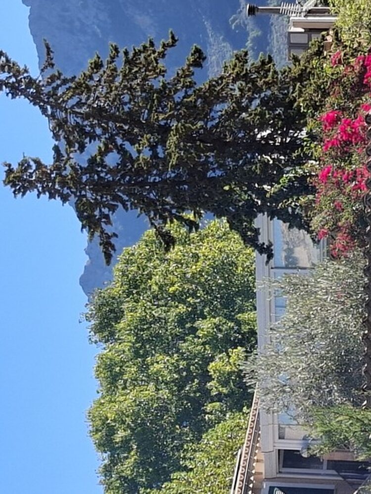 Foto de perfil de Belén