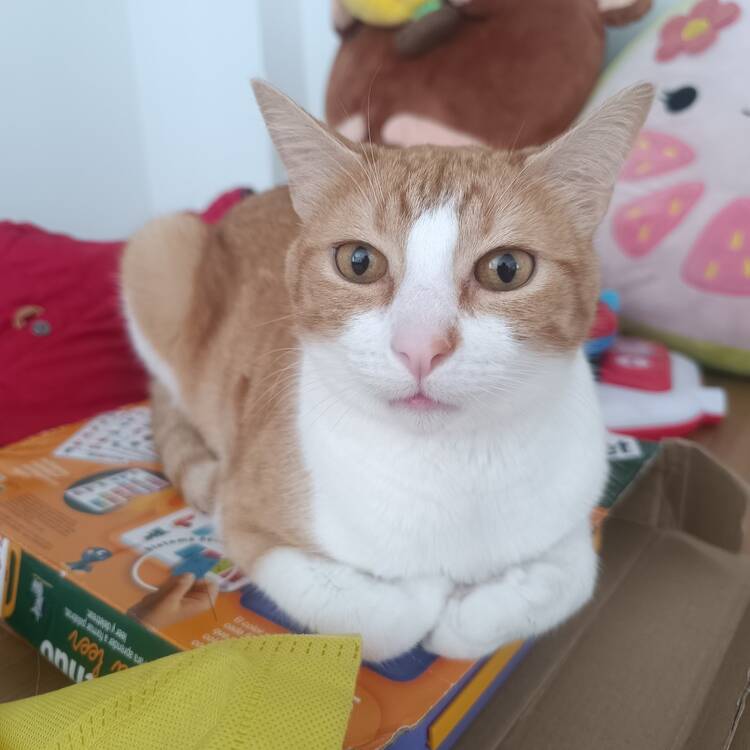 Foto de perfil