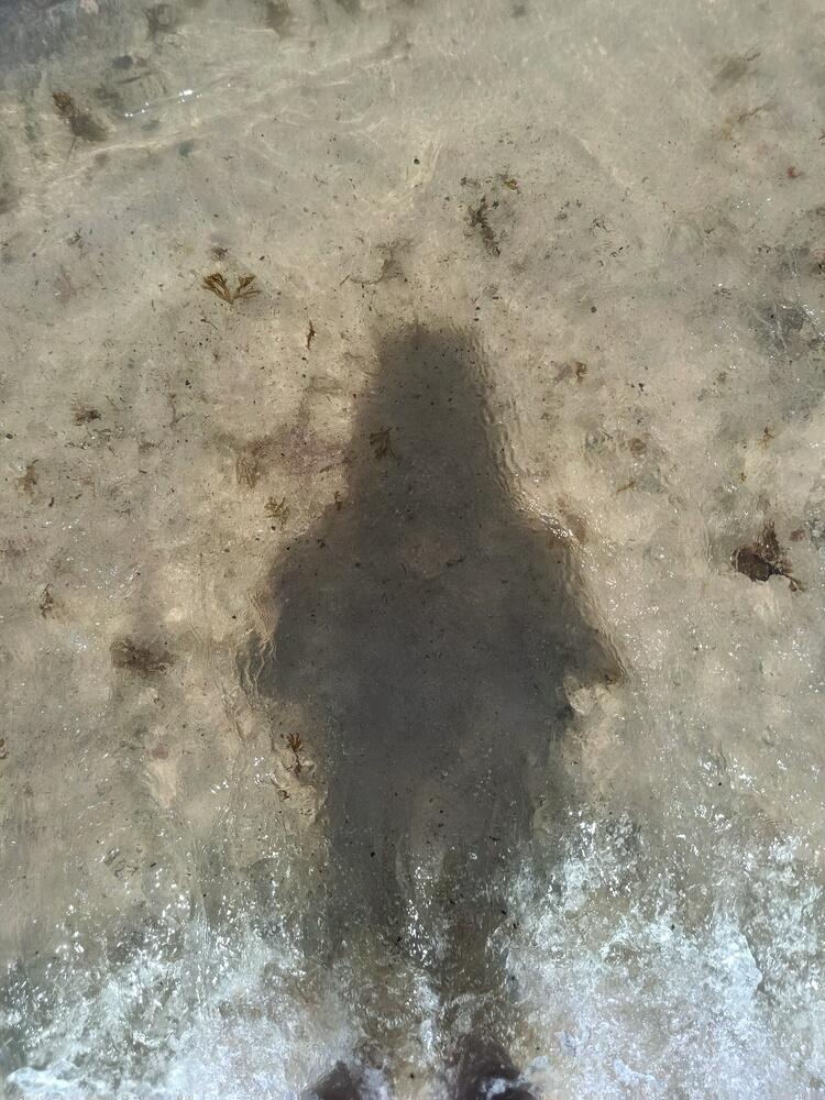 Foto de perfil de Ainara