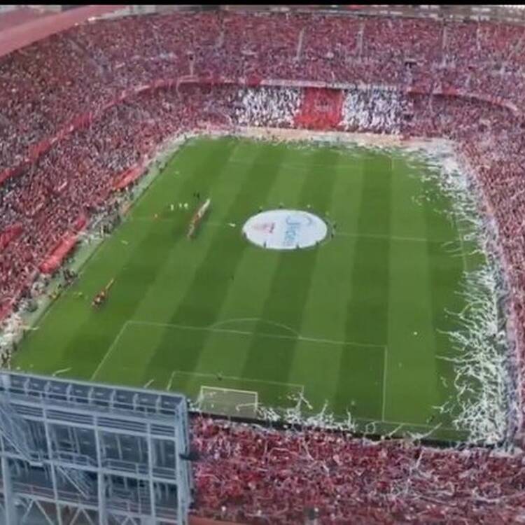 Foto de perfil de Fernando