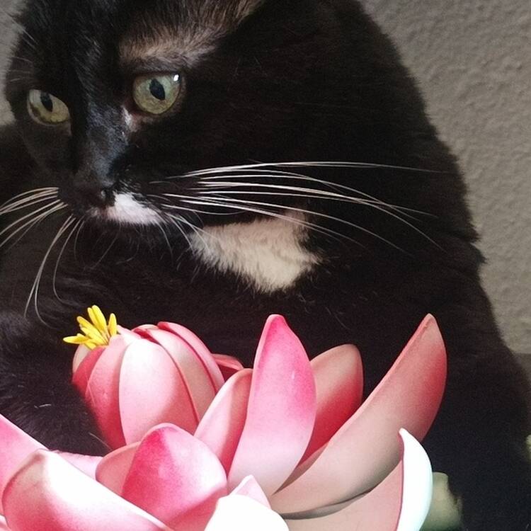 Foto de perfil de Olga
