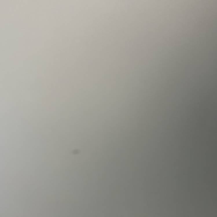 Foto de perfil de Jorge