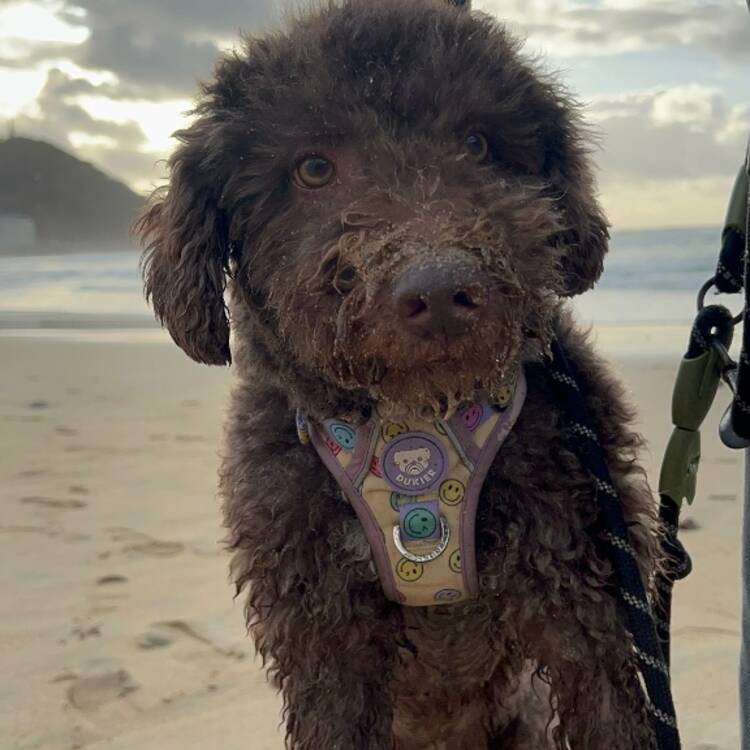 Foto de perfil