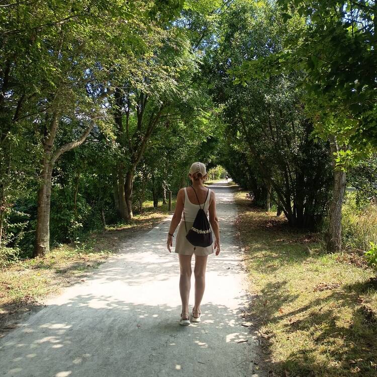 Foto de perfil de Marije
