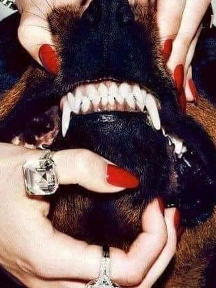 Foto de perfil de Grettel
