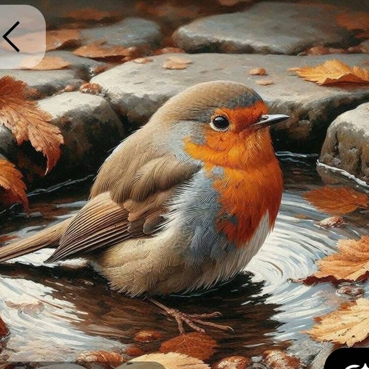 Foto de perfil de Pilar