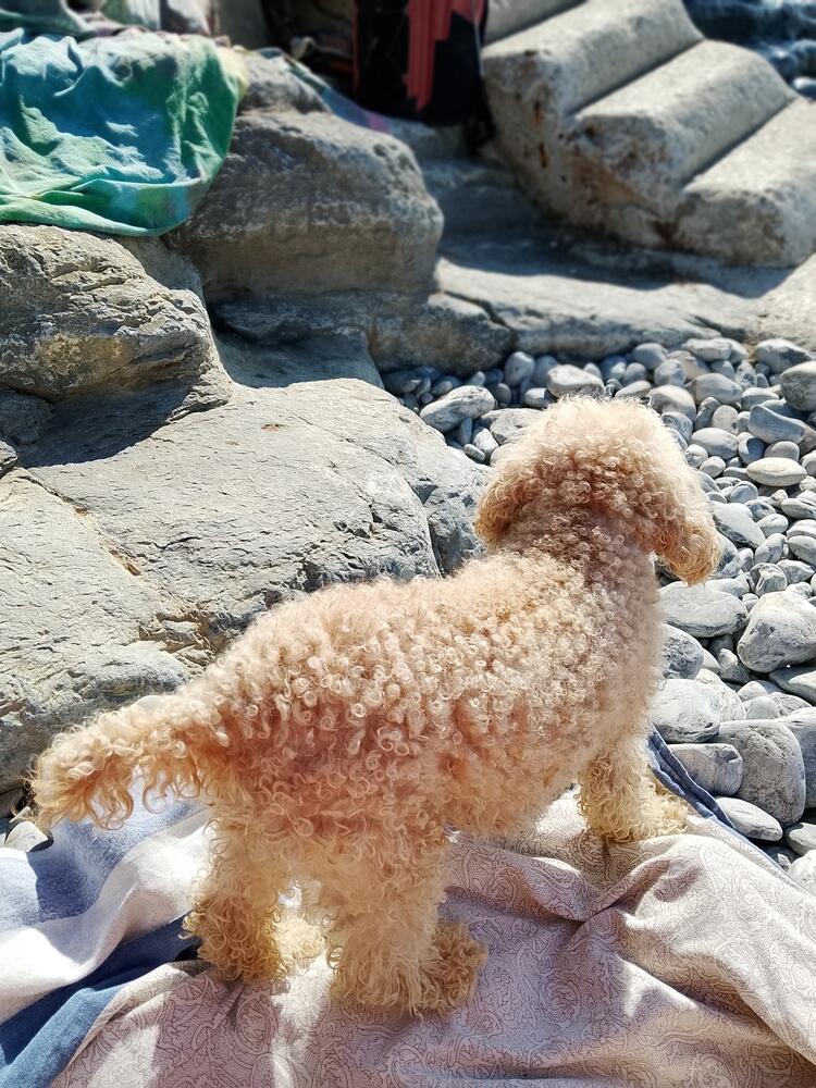 Foto de perfil de Luneti